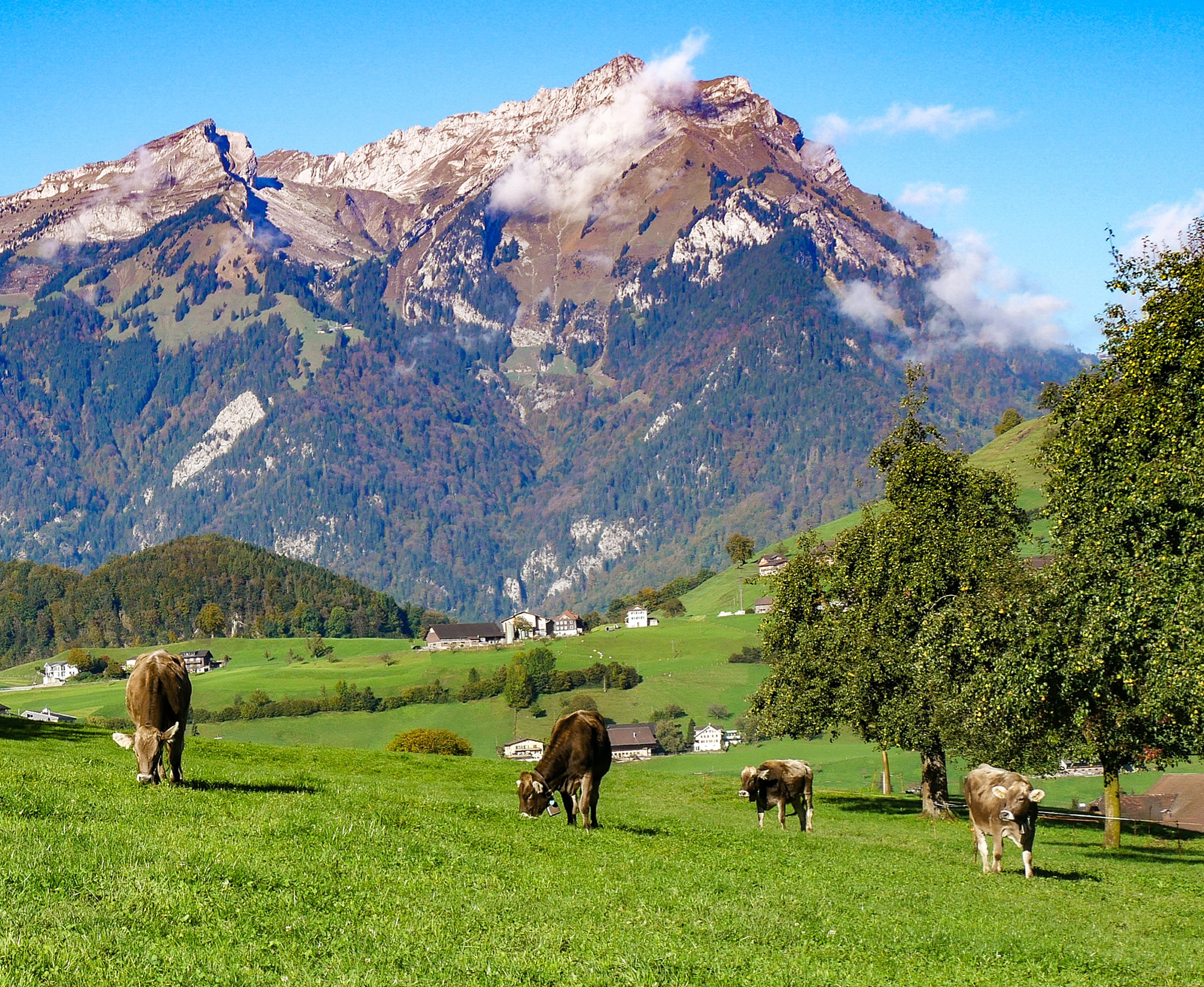 브랜드스토리이미지